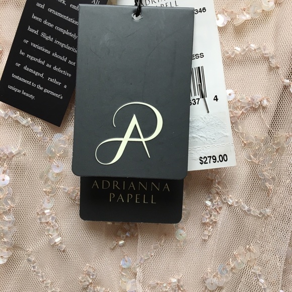 Adrianna Papell Blush Long Beaded Cocktail Dress - Picture 6 of 6